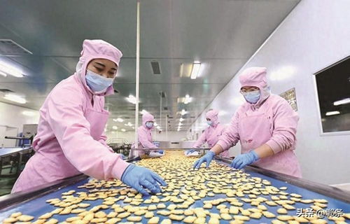 生物技術驅動邱縣食品產業新圖景 創新、升級與可持續發展